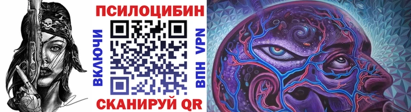 магазин  наркотиков  Куровское  Галлюциногенные грибы Psilocybine cubensis 