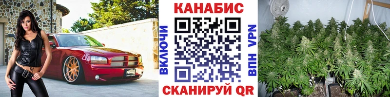 Бошки марихуана конопля  Куровское 